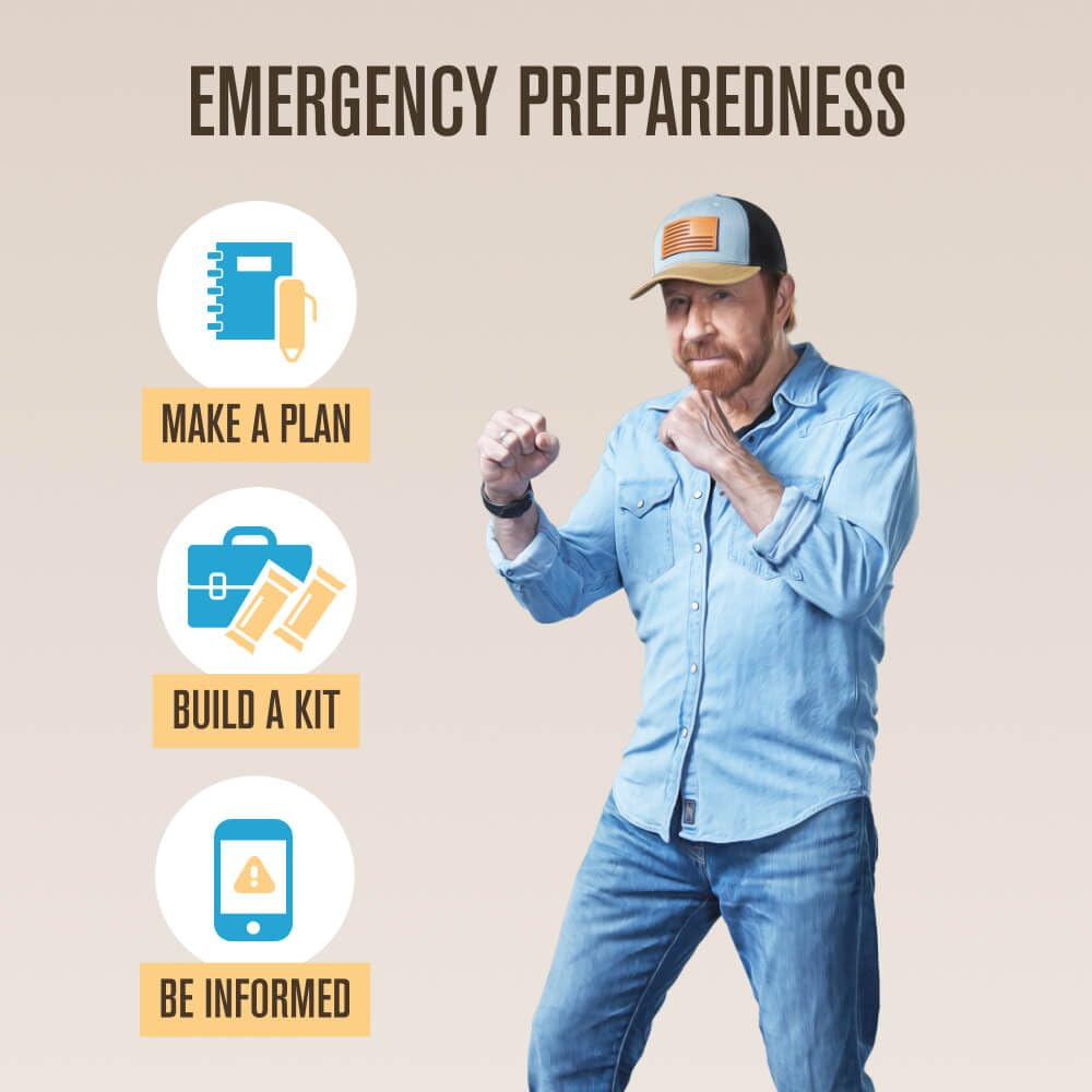 Roundhouse Provisions by Chuck Norris Emergency Food Bars - High Calorie Lemon Shortbread, 14 Vitamins & Minerals - Whole Grain Sorghum, 5-Year Shelf Life - Survival Rations for Crisis & Adventure ROUNDHOUSE PROVISION buy supplements canada