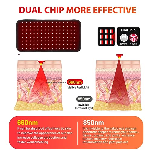 Red Light Therapy Infrared Light Therapy for Muscle Pain Relief and Inflammation Red Light Therapy Belt DYUF buy supplements canada