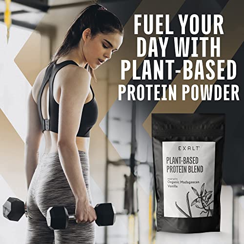 EXALT Vegan Protein Powder - 100% Plant-Based – Gluten Free - Keto Friendly EXALT buy supplements canada