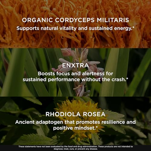 The Genius Brand Rise + Shine Nootropic – Cordyceps & Rhodiola Rosea – Caffeine-Free Energy & Mood Support – Focus, Clarity & Emotional Balance – 30 Servings The Genius Brand buy supplements canada