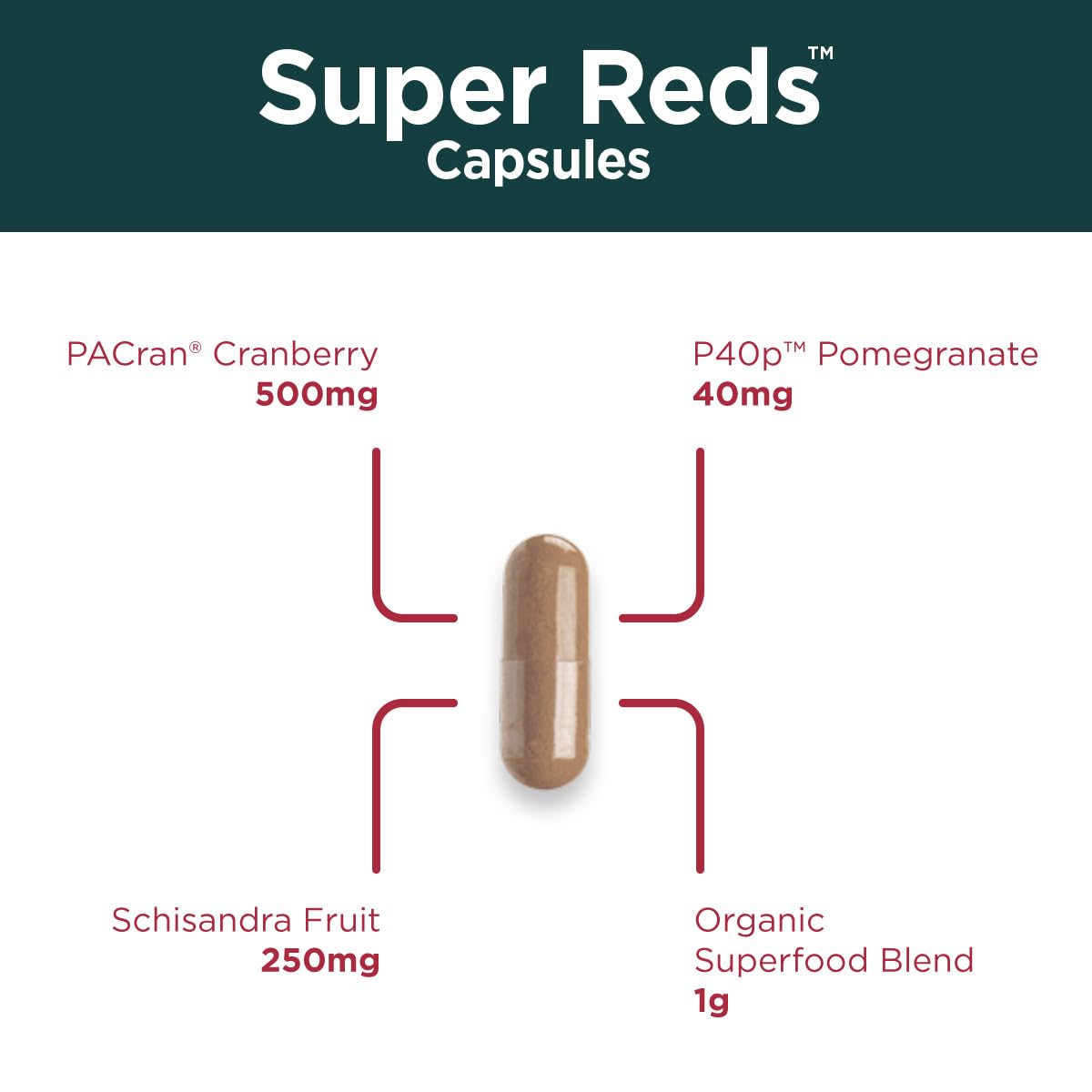 Purity Products Super Reds Capsules Formula (20+ Organic Super Fruits and Berries) Certified Organic Phytonutrients - 90 Capsules Purity Products buy supplements canada