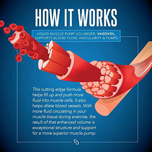 Siren Labs Vaso-VOL Liquid Muscle Pump Volumizer with Agmatine Sulfate - Pre Workout SIRENLABS buy supplements canada