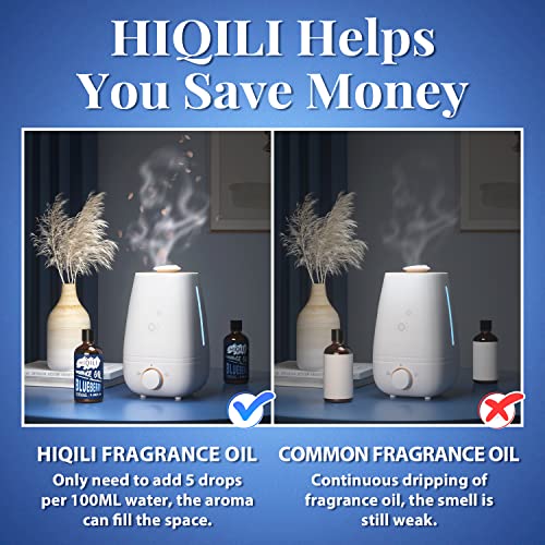 HIQILI Blueberry Essential Oil - Premium Fruit Fragrance Oil for Candle Making, Diffuser, Perfume HIQILI buy supplements canada