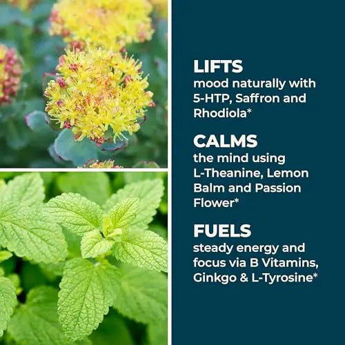 LifeSeasons - Mood Stabili-T - Positive Mood Booster - Enhanced Calmness and Happiness - Relaxed and Balanced Mind LifeSeasons buy supplements canada