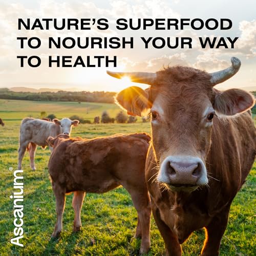 Colostrum Powder - Grass-Fed 40% IgG Colostrum Supplement Powder - Bovine Ascanium buy supplements canada