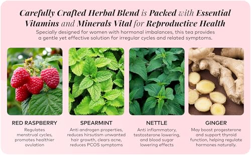 Remedy & Restore Herbal Tea for Hormone Balance - Natural Menstrual Cycle Support, Spearmint Flavor, Loose Leaves, 1 Count Remedy & Restore buy supplements canada