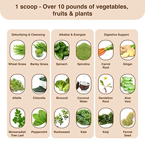 Detox Organics Chocolate Superfood Powder, Detox Cleanse for your Body, Bloating Relief Detox Organics buy supplements canada