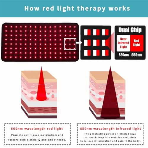 RJOYBAO Red Light Therapy Infrared Light Therapy Belt for Body,Red Light Therapy lamp RJOYBAO buy supplements canada