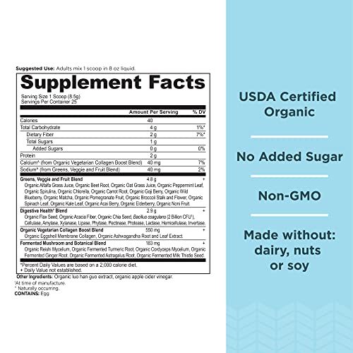 Ancient Nutrition Supergreens Powder, Organic Superfood Powder with Collagen Ancient Nutrition buy supplements canada