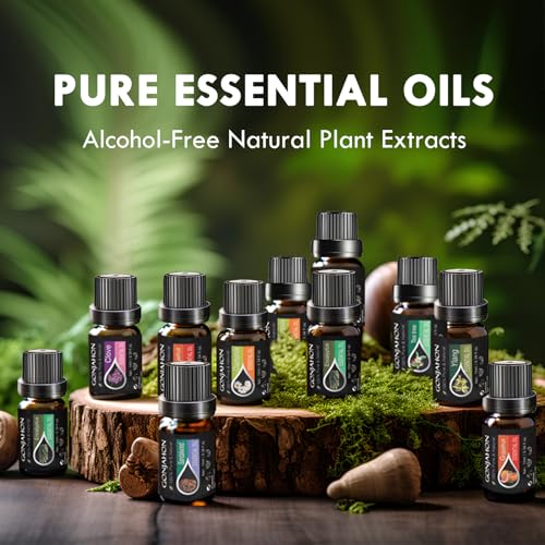KMSCO Essential Oils Set -Top 16(0.33Fl Oz) Organic Plant Natural Fragrance Scents Blends Oil KMSCO buy supplements canada
