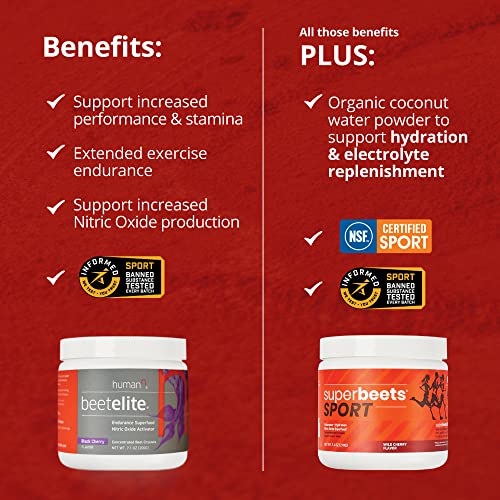 humanN SuperBeets Sport Pre Workout Powder – NSF Certified for Sport – Caffeine Free humanN buy supplements canada