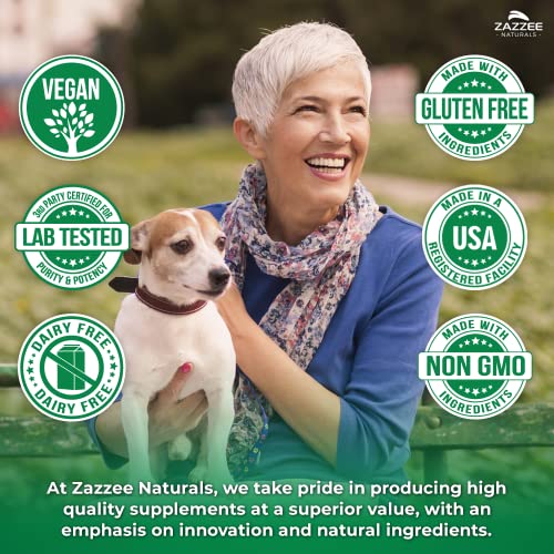 Zazzee High Absorption Artemisinin, 100 mg per Capsule, 120 Vegan Capsules, with 5 mg Zazzee buy supplements canada