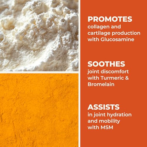 LifeSeasons Mobili-T - Joint Support Supplement - Reduces Aches & Discomforts - Increase Range of Motion - Rebuild Tissue & Cartilage - MSM Chondroitin Collagen Glucosamine & Turmeric - 120 Capsules LifeSeasons buy supplements canada