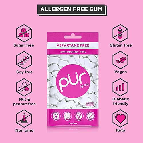 PUR Gum | Aspartame Free Chewing Gum | 100% Xylitol | Natural Pomegranate PUR buy supplements canada