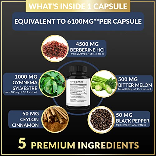 BMVINVOL 5-in-1 Berberine Supplement 6100mg with Ceylon Cinnamon, Gymnema Sylvestre BMVINVOL buy supplements canada