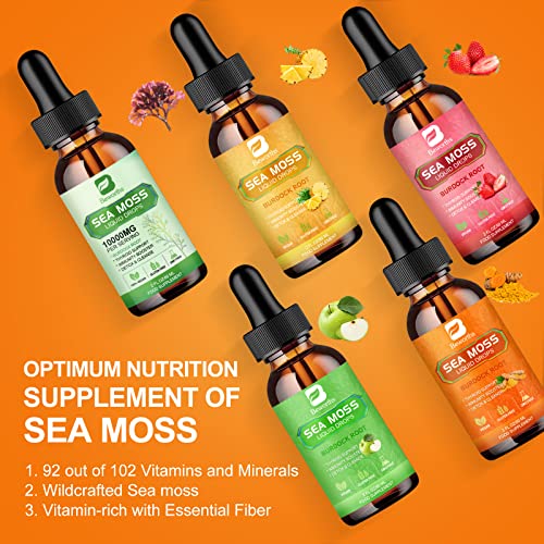 B BEWORTHS Sea Moss Liquid Drops - Organic Irish Sea Moss Raw Gel with Burdock Root B BEWORTHS buy supplements canada