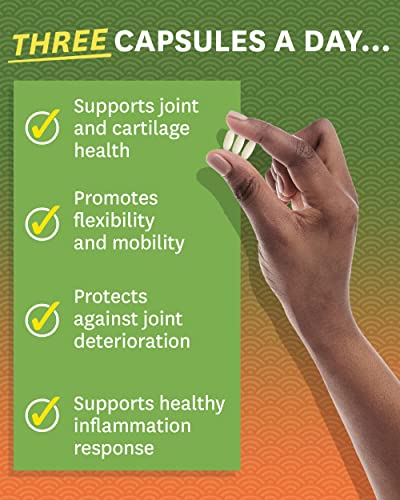 Zenwise Health Glucosamine Chondroitin MSM - Joint Support Supplement with Turmeric Zenwise Health buy supplements canada