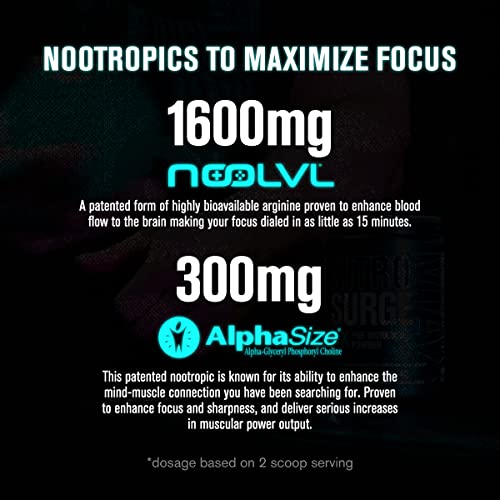 Jacked Factory Nitrosurge Max Nootropic Pre Workout Powder - Premium Pre Workout Jacked Factory buy supplements canada