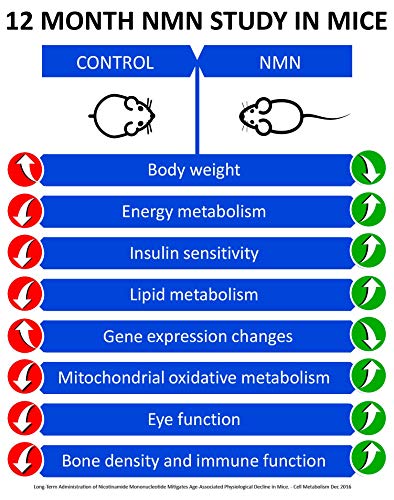MAAC10 NMN Supplement Real Nicotinamide Mononucleotide (NMN 125mg Capsules). The Most Powerful NAD+ Precursor More Stable Than Riboside. We use 99% Pure Pharmaceutical Grade Stabilized NMN (30 Count) MAAC10 buy supplements canada