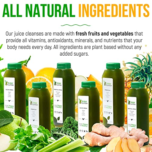 Raw Fountain 7 Day Green Juice Cleanse, All Natural Raw, Vegan Detox, Cold Pressed Raw Fountain buy supplements canada