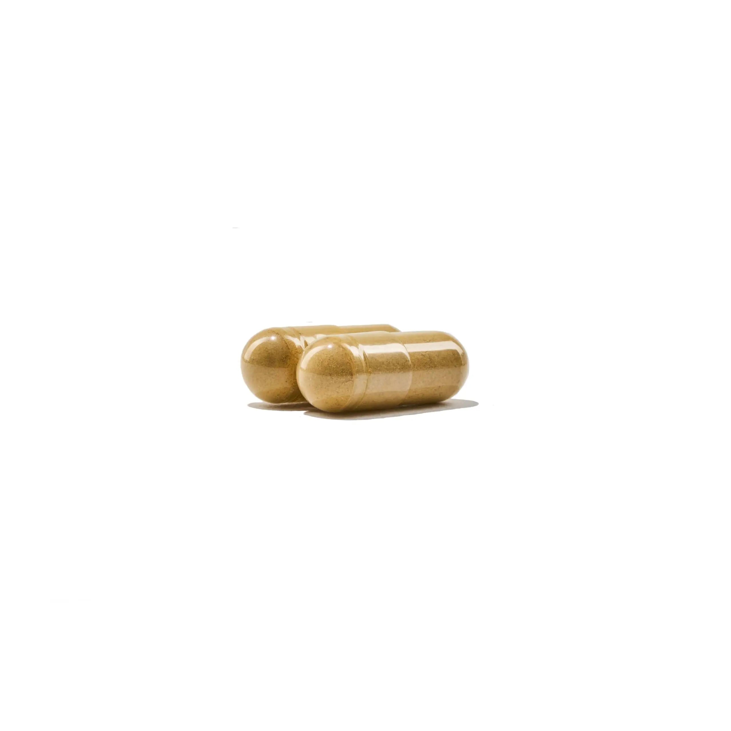 NatureWise Multivitamin for Men - Daily Male Support - Minerals & Herbs for Energy, Performance, Immunity - with Vitamin A, C, D, B-Complex NatureWise buy supplements canada