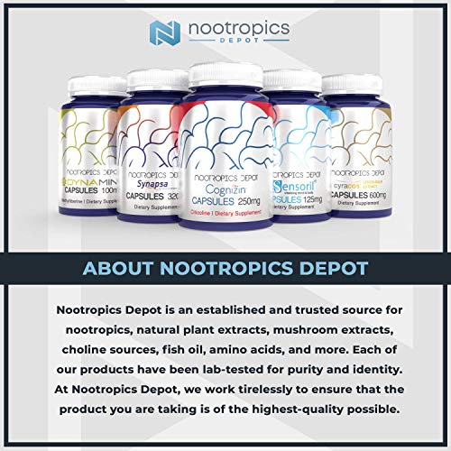 Nootropics Depot Agmatine Sulfate Capsules | 250mg | 240 Count | Energy Supplement Nootropics Depot buy supplements canada