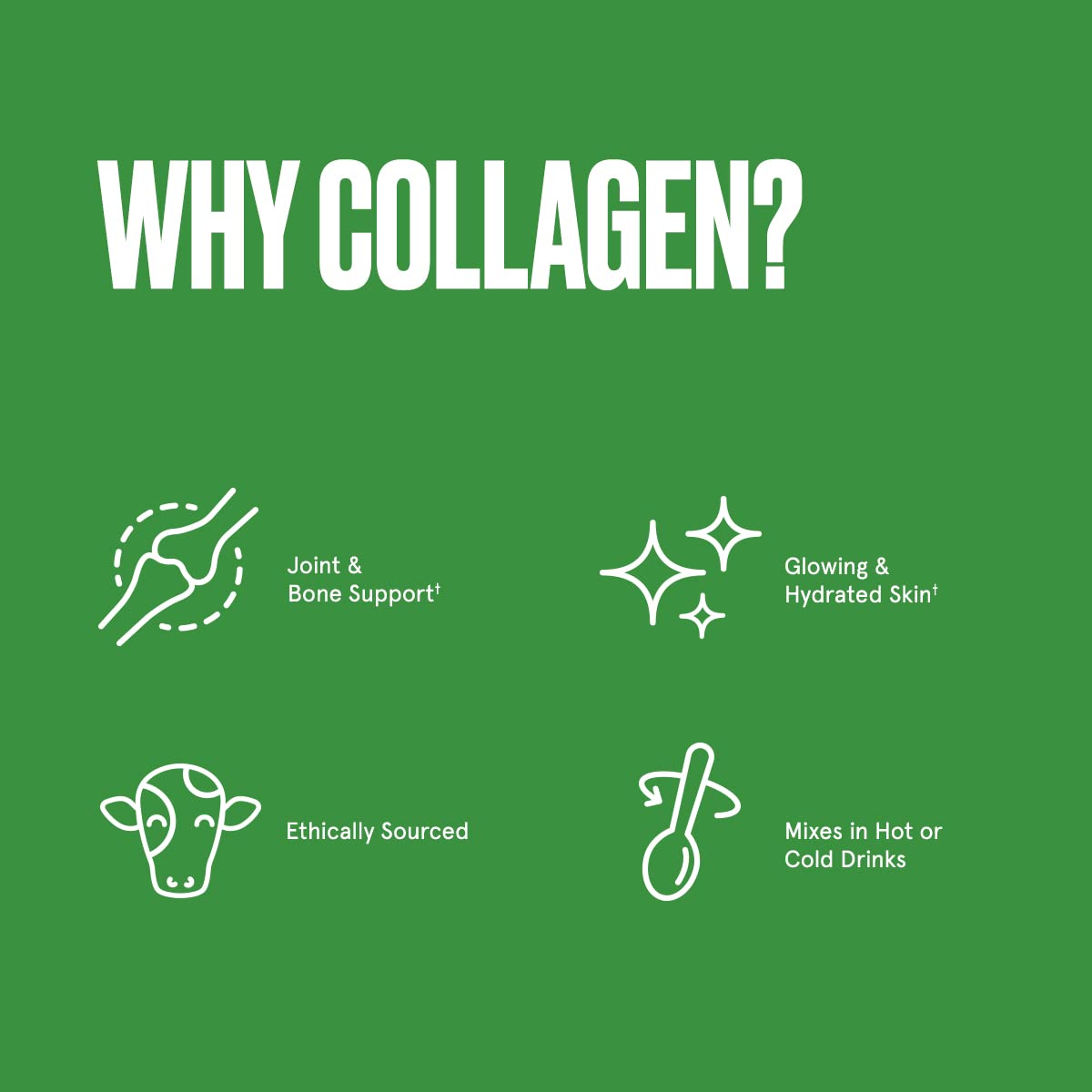 Bulletproof Unflavored Collagen Protein Powder, 17.6 Ounces, Grass-Fed Collagen Peptides Bulletproof buy supplements canada
