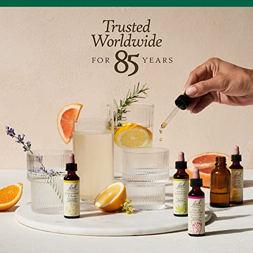 Bach Original Flower Remedies, Walnut for Adapting to Change (Non-Alcohol Formula) Bach buy supplements canada