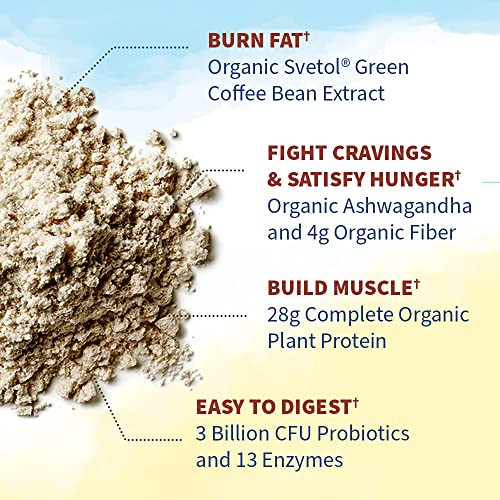 Garden of Life Raw Organic Fit Vegan Protein Powder Coffee, 28g Plant Based Protein Garden of Life buy supplements canada
