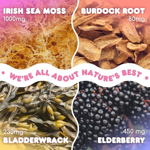 Biolore Sea Moss Gummies with Elderberry, Contains Irish Sea Moss, Organic Extract Biolore buy supplements canada