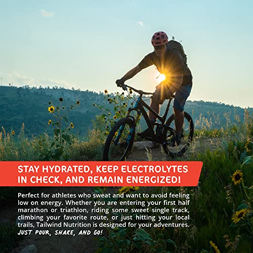 Tailwind Nutrition Endurance Fuel, Caffeine Drink Mix with Electrolytes Tailwind buy supplements canada