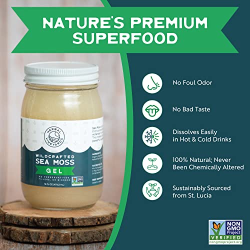 Herbal Vineyards Natural Organic Wildcrafted Gold Raw Sea Moss Gel for Immune Support Herbal Vineyards buy supplements canada
