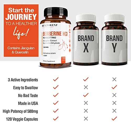 Premium Berberine HCL 730mg - 120 VCAPS Perfect Trio Complex with Non-GMO Jiaogulan Benevolent Nourishment buy supplements canada