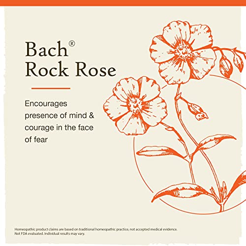 Bach Original Flower Remedies, Rock Rose for Courage (Non-Alcohol Formula), Natural Homeopathic Bach buy supplements canada