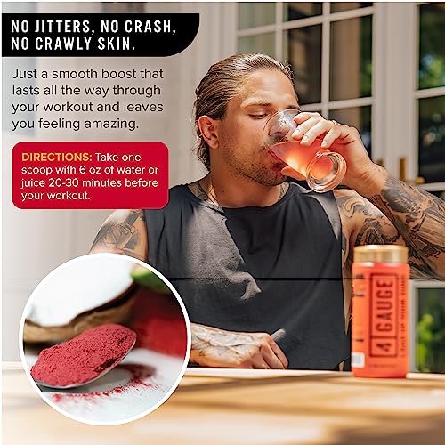 4 Gauge Natural Preworkout Without The Jitters | 30 Servings | Nitric Oxide Booster 4 Gauge buy supplements canada