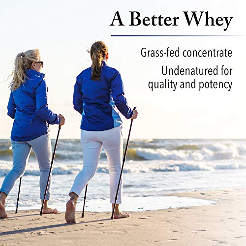 Whey Factors by Natural Factors, Grass Fed Whey Protein Concentrate, Aids Muscle Natural Factors buy supplements canada