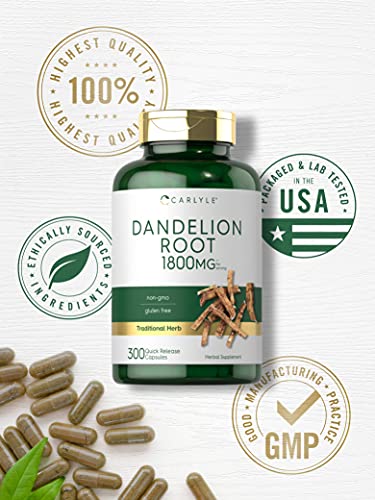 Carlyle Dandelion Root Capsules 1800mg | 300 Count | Non-GMO, Gluten Free Carlyle buy supplements canada