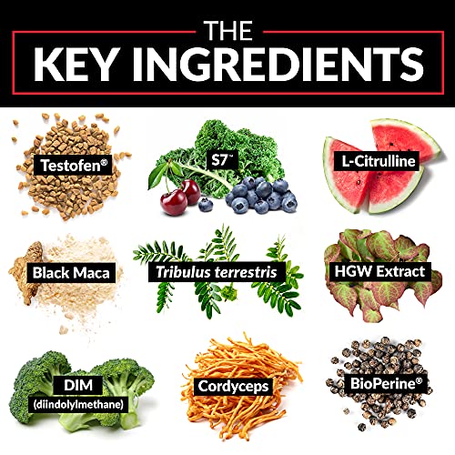 FORCE FACTOR Test X180 Alpha Max, 2-Pack, Total Testosterone and Nitric Oxide Booster Force Factor buy supplements canada