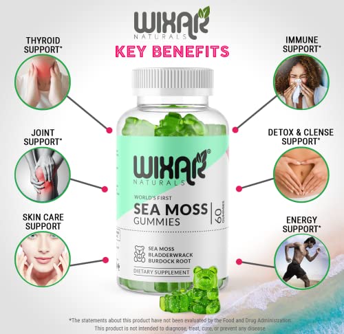 WIXAR NATURALS Sea Moss Gummies - Natural Irish Sea Moss and Bladderwrack WIXAR NATURALS buy supplements canada