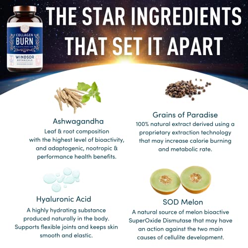Thermogenic Multi Collagen Burn Capsules - Hydrolyzed Multi Collagen Complex Types WINDSOR BOTANICALS buy supplements canada