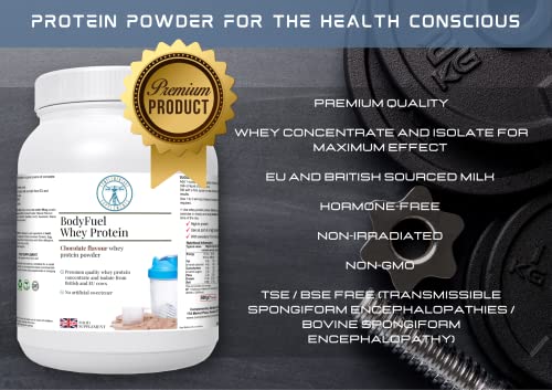 Complementary Supplements - BodyFuel Whey Protein Isolate & Concentrate Chocolate Flavour Complementary Supplements buy supplements canada