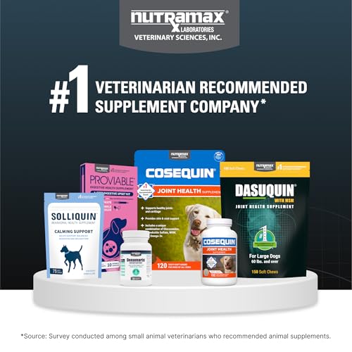 Nutramax Dasuquin for Large Dogs, Joint Health Supplement, Contains Glucosamine for Dogs, Plus Chondroitin, ASU and More, Supports Healthy Joints, Soft Chews, 150 Count Nutramax Laboratories buy supplements canada