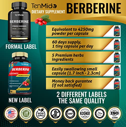 Berberine Extract Capsules 4250mg, 2 Months Supply & Ceylon, Milk Thistle, Turmeric Tenmido buy supplements canada