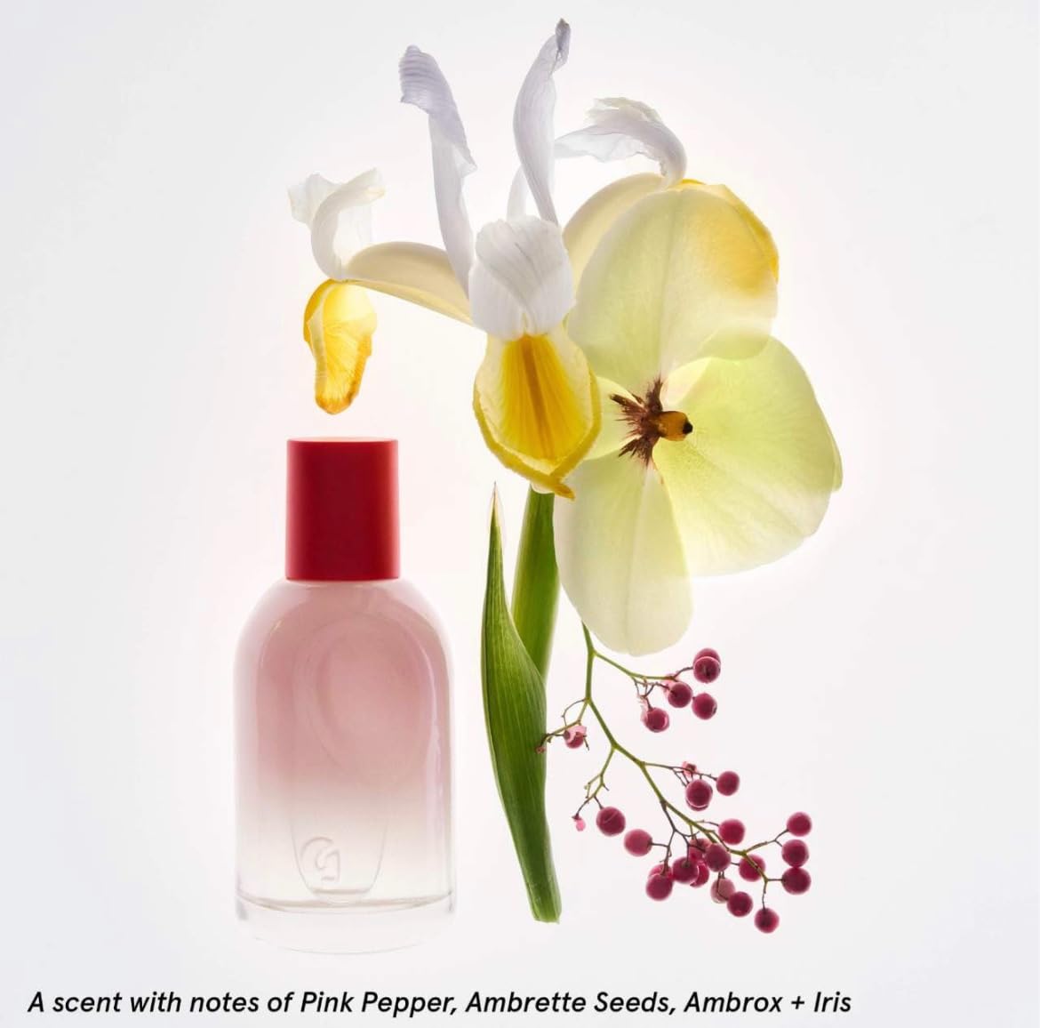 Glossier You Limited Edition Two of You Eau de Parfum Holiday Gift Set - Full Size Spray (1.7oz / 50ml) and Travel Size Rollerball (0.27oz / 8ml) Glossier buy supplements canada