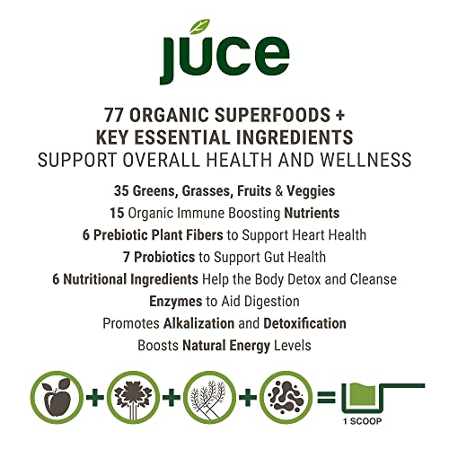 Terra Kai Organics JUCE Green Superfood Powder, Organic Fruits and Veggies Supplement Terra Kai Organics buy supplements canada