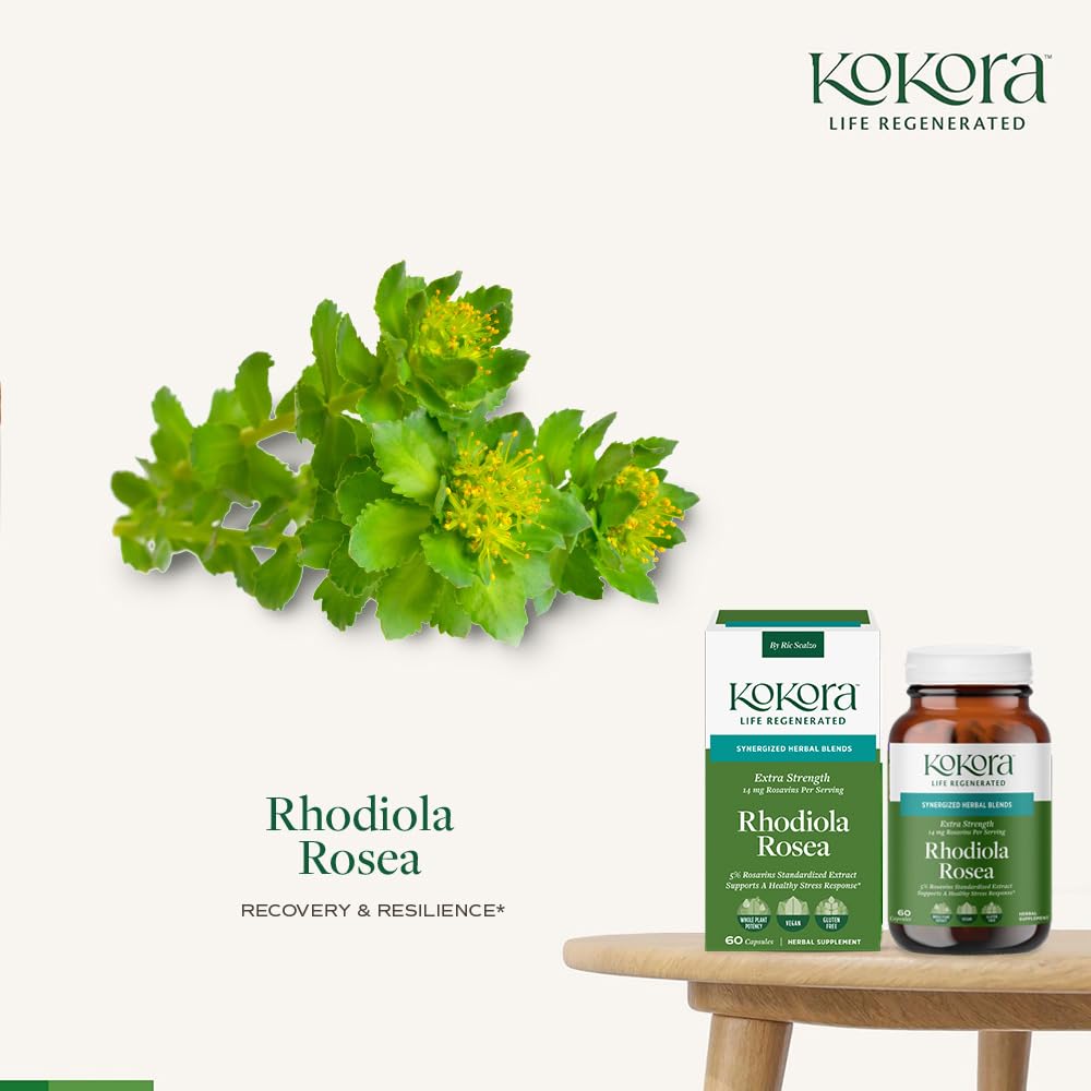 kokora Extra Strength Rhodiola Rosea – Stress Relief, Endurance & Promotes Mental & Physical Performance* - with Siberian Rhodiola, Rosavins, Organic Holy Basil - Vegan, Non-GMO - 60 Capsules kokora buy supplements canada