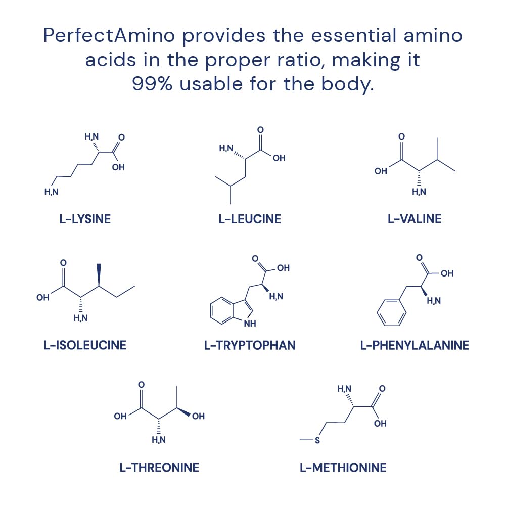BodyHealth PerfectAmino (150 ct) Easy to Swallow Tablets, Essential Amino Acids Supplement with BCAAs, Vegan Protein for Pre/Post Workout & Muscle Recovery with Lysine BodyHealth buy supplements canada