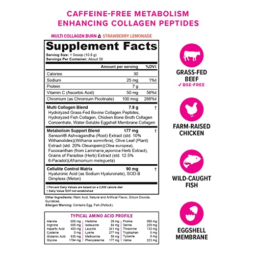 Multi Collagen Burn: Multi-Type Hydrolyzed Collagen Protein Peptides with Hyaluronic Acid Vitauthority buy supplements canada