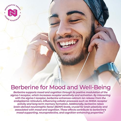 Nootropics Depot Berberine HCL + Silymarin Capsules | 500mg + 90mg | 180 Count Nootropics Depot buy supplements canada