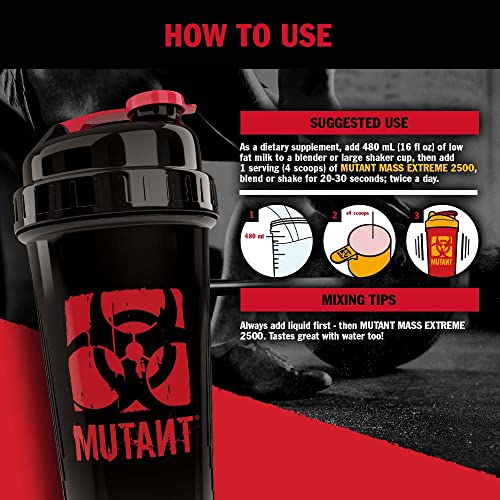 Mutant Mass Extreme Gainer Whey Protein Powder, Build Muscle Size & Strength with High Mutant buy supplements canada